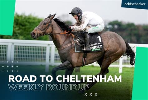 cheltenham oddschecker